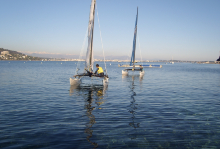 Activité catamaran