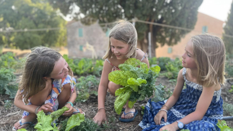 UN TOUR AU POTAGER