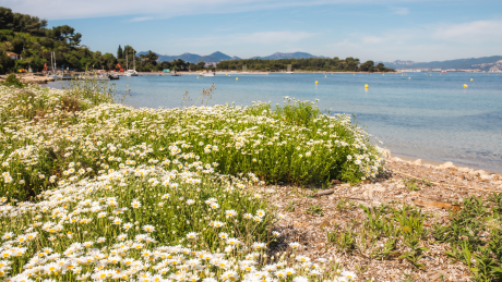 SEJOUR DE VACANCES CANNES